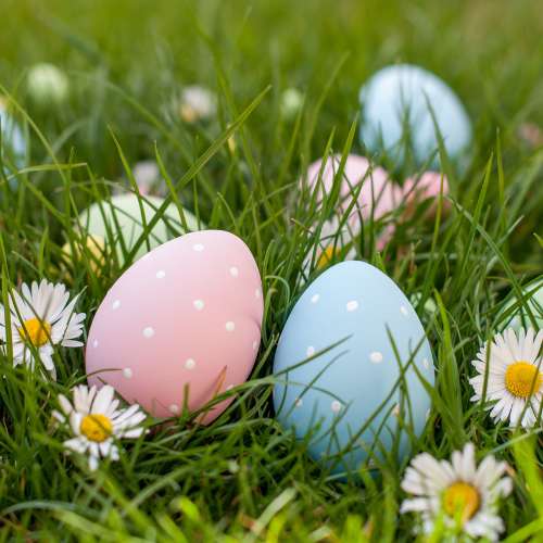 Flashlight Egg Hunt at Joe Farmer Rec Ctr